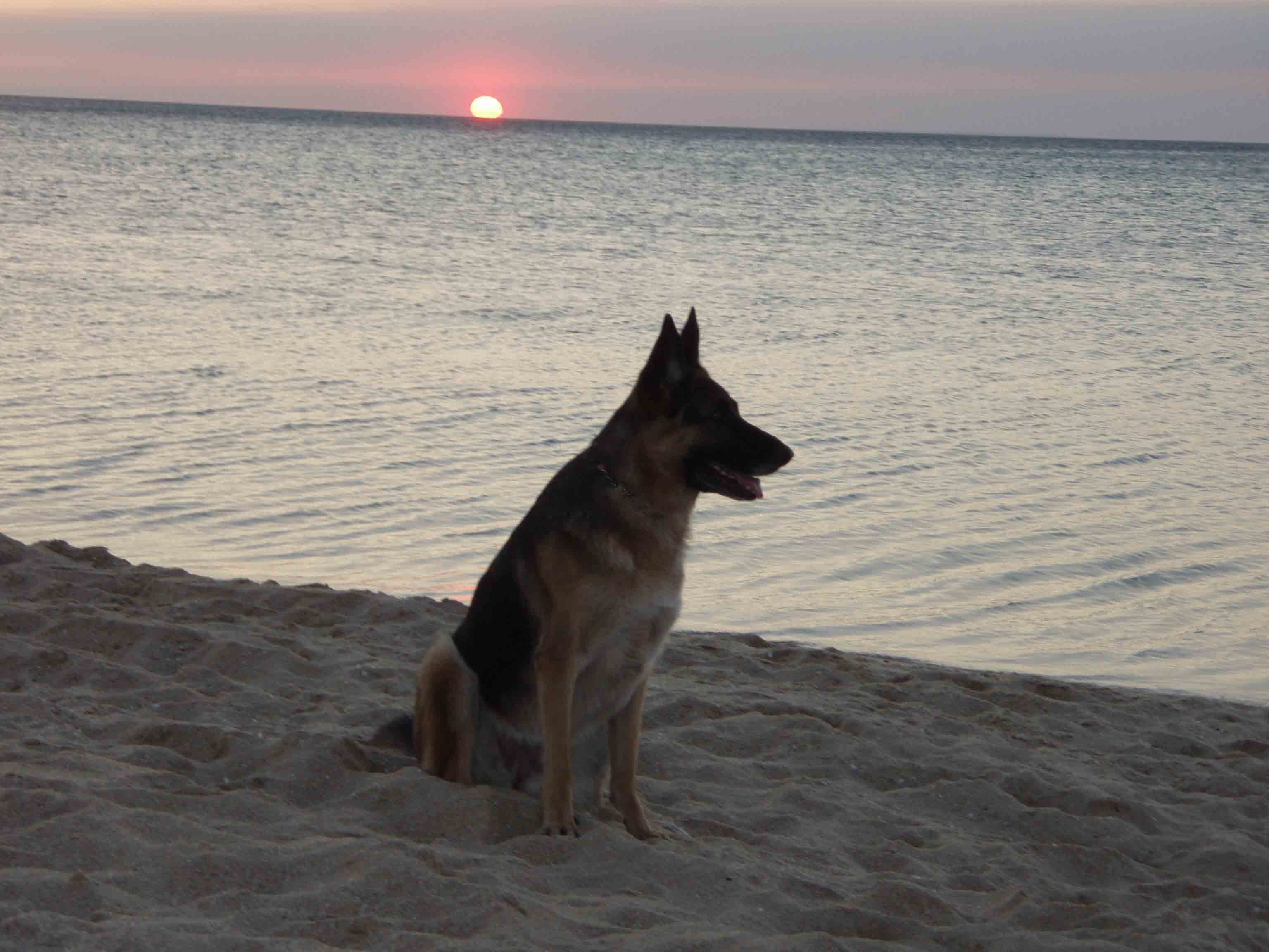Tessbeach1